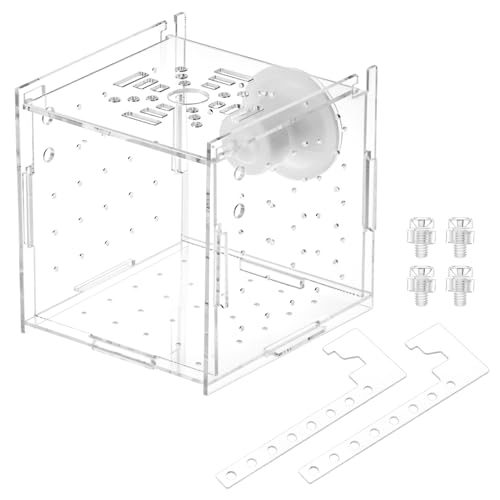 QWORK Acrylic Fish Breeding Isolation Box - Transparent Aquarium Incubator for Small Fishes Shrimp Clownfish Guppy, 3.9-inch