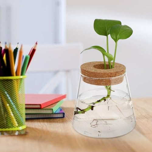 Zerodeko 3pcs Glass Vase for Propagation with Wood Lid Hydroponic Vases for Plants and Flowers, Compact Desktop Terrarium Station Showcasing Root Growth, for Office Desk or Corner