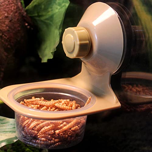 2 Pack Reptile Feeder Gecko Lizard Feeding Cup with Suction Cup, Reptile Food Water Feeder Dish with 6 pcs Cups for Geckos,Chameleon Lizard (Single) - size: Single