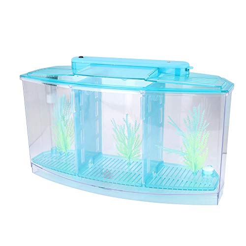 Aquarium Fish , Three Divisions Breeding Isolation Mini Aquarium komplettset LED Acrylic Box for Small Fishes() (Blue)