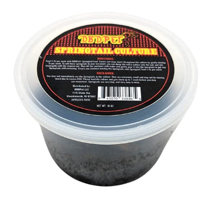 DBDPet Live Springtail Cultures - Great for Terrariums, Vivariums, and More - Microfauna for Bioactive Reptile & Amphibian Cages (Value Pack (2 Cultures & Food)) - size: 0.5 Ounce (Pack of 2)