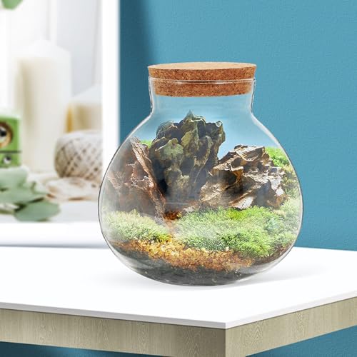 Glass Terrarium Jar with Cork Lid for Micro Landscape Plants, 13cm Round Ecosystem Bottle Suitable for Succulent, Moss, and Desk Display