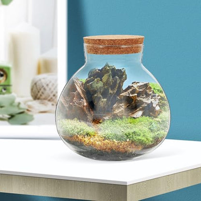 Glass Terrarium Jar with Cork Lid for Micro Landscape Plants, 13cm Round Ecosystem Bottle Suitable for Succulent, Moss, and Desk Display