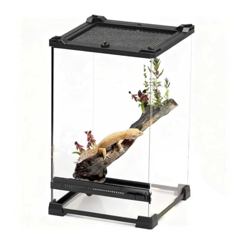 Reptile Tall Glass Terrarium Rainforest Habitat Single Door with Screen Ventilation,Small Reptile Terrarium for Spiders, Tarantulas, Snail, Mantis, Lizard (10 * 10 * 13.8 inch)