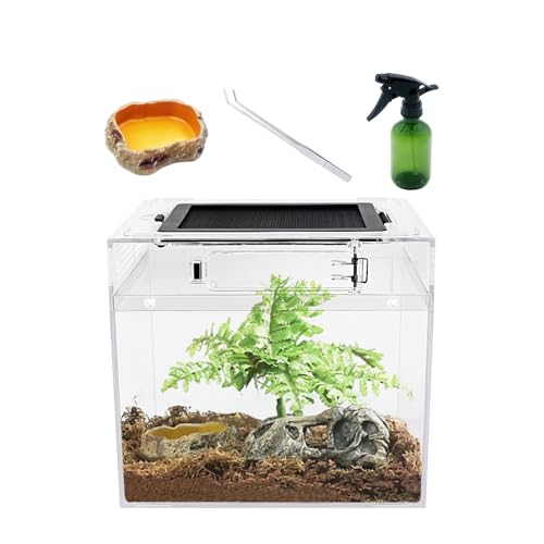 Reptile Growth Mini Reptile PC Terrarium,8x8x7 inch Amphibian Tank Starter Kit Habitat Cage，for Insect，Fish，Tarantula，Turtles，Jumping Spiders and Small Reptiles - size: 8" x 8"x 7"