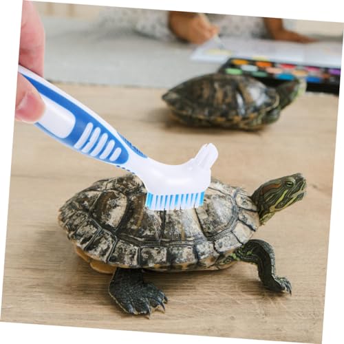 BESPORTBLE 3pcs Turtle Shell Cleaning Brush for Aquatic Turtle Tank Reptile Hides Reptile Accessories - color: Sky-blue