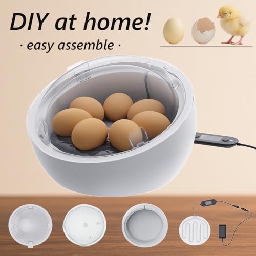 Egg Hatcher,Home Backyard Fun Hatch Kit, Real Eggs Incubation Science Test, Small Egg Incubator with Temperature Control, Easy Hatching Easter Day Eggs Quail Chick Turtle Parrot Reptile