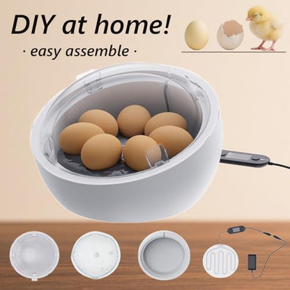 Egg Hatcher,Home Backyard Fun Hatch Kit, Real Eggs Incubation Science Test, Small Egg Incubator with Temperature Control, Easy Hatching Easter Day Eggs Quail Chick Turtle Parrot Reptile