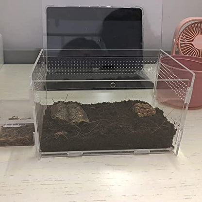 AWXZOM Magnetic Acrylic Case, micro habitat small Tarantula Enclosure enclosure for arboreal Tarantula Scorpion Sling Lizards Mantis Snake Gecko jumping spider snail Insect Isopods (7.8*4.7*4.7inch) - size: 7.8*4.7*4.7inch
