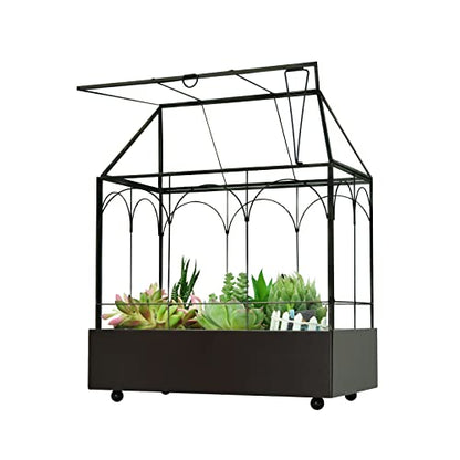 Large Tall Glass Plant Terrarium – House Succulent Terrarium Kit with Lip and Tray Glass Greenhouse Terrarium for Plant 9.5”X5.7”X11.4” - color: Black 3