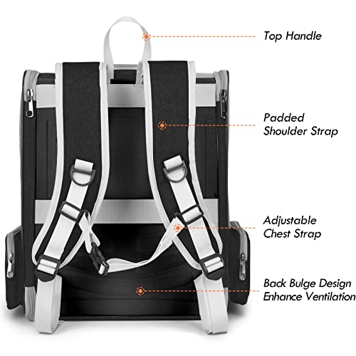Cat Backpack Carrier, Pet Carrier Backpack with Kitten Wand Feather Toy for Medium Small Dog Cat Puppy Kitty Bunny up to 15lbs, Large Ventilated Mesh Cat Bookbag for Travel Walking Outdoor Use (Black) - color: Black