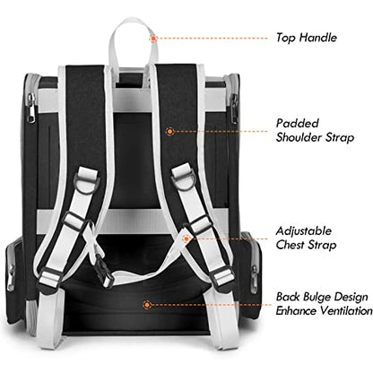 Cat Backpack Carrier, Pet Carrier Backpack with Kitten Wand Feather Toy for Medium Small Dog Cat Puppy Kitty Bunny up to 15lbs, Large Ventilated Mesh Cat Bookbag for Travel Walking Outdoor Use (Black) - color: Black