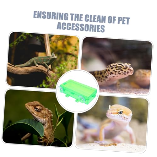 HANABASS Reptile Feeder Bowl Suction Cup Food Dish for Bearded Dragon Gecko Snake Insect Water Feeder - color: Light Green, size: 9.00X6.00X3.50CM