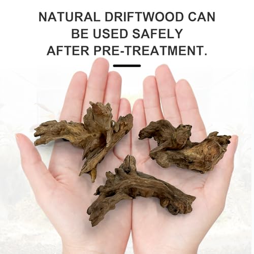 Aquarium Driftwood Decor Set - 1 Anubias Resin Model & 3Pcs Small Natural Driftwood 2-4 inch for Aquascaping, Fish Tank Landscape Design