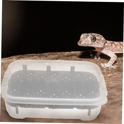 UPKOCH Premium Compartment Reptile Hatchery Box for Efficient Egg Incubation for Geckos Snakes and Lizards Durable and Reusable Breeding Box for Reptile Enthusiasts