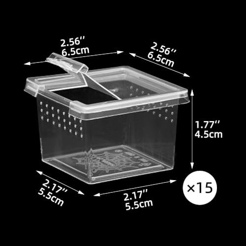 15 PCS Spider Terrariums Breeding Box, Small Insect Hatching Container Plastic Feeding Box for Small Reptiles Jumping Spider Scorpion Centipede Insect