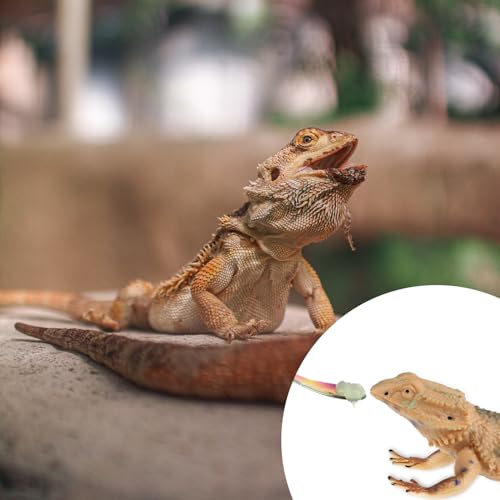 Abeillo 2Pcs Crested Gecko Food Spoons, 8.9" Long Handle Stainless Steel Reptile Spoon, Fruit Mixing Stirring Food Feeding Spoon for Gargoyle Bearded Dragon