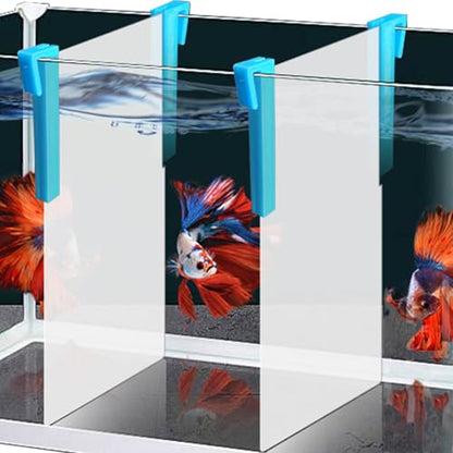 Aquarium Fish Tank Divider Holder - 2pcs Plastic Aquarium Plastic Divider Tray with Bracket Fish Tank Bottom Isolation Separator (White Board +Blue Bracket, 7.87 * 11.8") - color: White Board +Blue Bracket, size: 7.87*11.8"