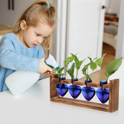 Plant Propagation Stations Heart Plant Terrarium Kit | Gift for Women Plant Lover Glass Vases - color: Blue