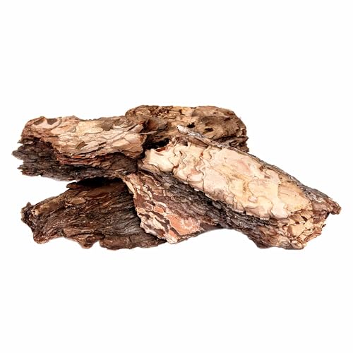 Galápagos (05351) Arid Environment Terrarium Kit Ideal for Reptiles, Amphibians, & Small Critters, 4.5 QT Box, Natural