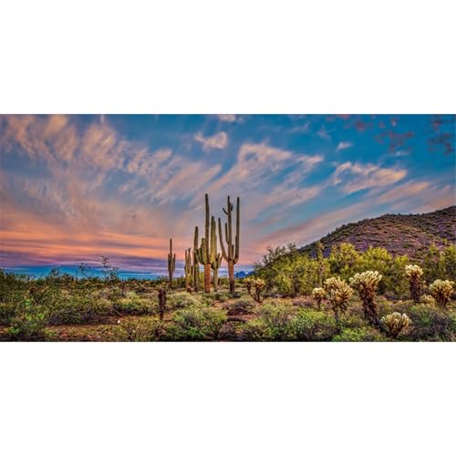 36x18 in Desert Cactus Terrarium Backdrop Oasis Reptile Habitat Background | AWERT Huge Cactus Blue Sky Cloud Desert Gobi Vinyl Terrarium Background - size: 36x18in/90x45cm