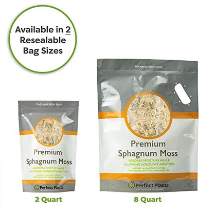 Perfect Plants Premium Sphagnum Moss in 2qt. Resealable Bag | Long fibered Sustainably Harvested Moss | for All Orchid Varieties