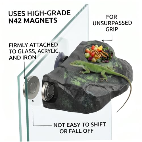 Magnetic Reptile Ledge, Reptile Climbing Decor with Strong Magnet, Large Rock Rest for Geckos, Tree Frogs, Green.