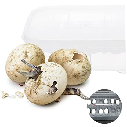 TOYANDONA Reptile Breeding Box Transparent Hatching Box for Snakes and Lizards Material Easy Clean and Lightweight Incubation Tray