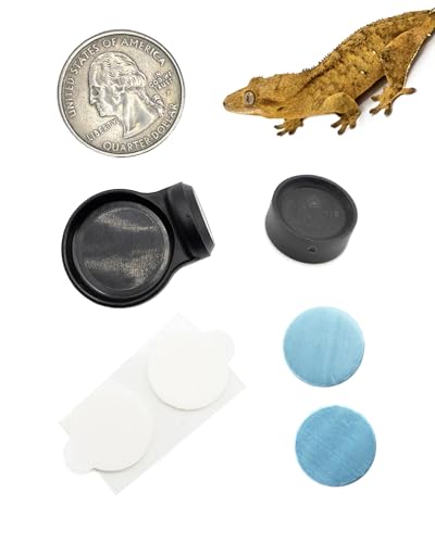 Pangea Microdish Kit for Micro Gecko Feeding, 1.5in x .75in | Feeder & Water Bowl for Mourning Geckos & Micro Gecko - size: S Surface Mount