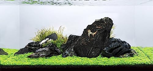 Dark Seiryu Stone Aquascaping Rock 17lb Planted Aquarium Iwagumi | Dark veined texture; iwagumi aquascape - size: 08 Dark Seiryu Stones(3-11inch,17lbs)