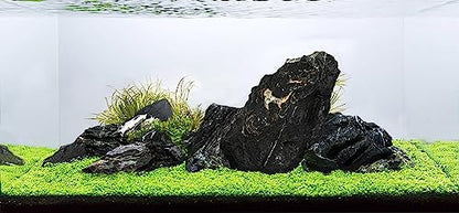 Dark Seiryu Stone Aquascaping Rock 17lb Planted Aquarium Iwagumi | Dark veined texture; iwagumi aquascape - size: 08 Dark Seiryu Stones(3-11inch,17lbs)