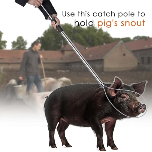 Dog Catcher Pole Animal Control Pole, Rod Length 30 inches | Stainless Steel Pig Holder Catcher Cat Catcher Pole, Heavy Duty Catch Pole for Animals Cats Hogs Pigs and Small/Medium Dogs