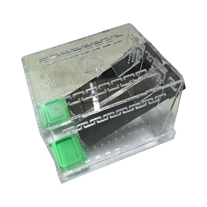 Crickets Breeding Box Equipped with Food Water Basins and Absorbent Cotton Breeding Case