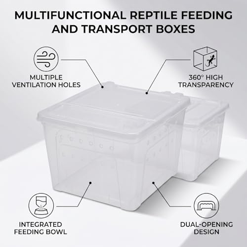 Luocute 2PCS Reptile Feeding Box, Transparent Portable Plastic Reptiles Breeding Enclosure Transport Container for Bearded Dragon Lizard Spider (L)