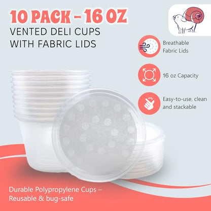 16 oz Deli Cup and Fabric Vented Insect Feeder lids by Snout & Shell - Pack of 10 Cups and lids - size: 16oz/10 cups