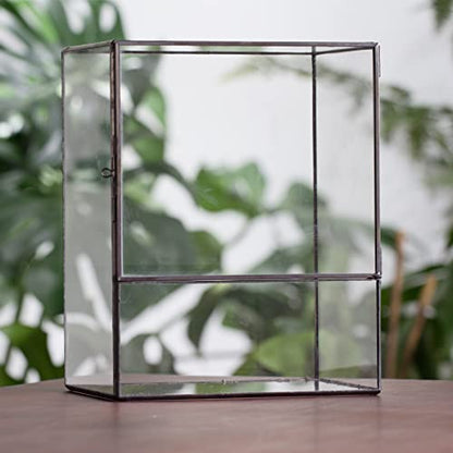 NCYP Close Glass Terrarium with Door - 7.8 x 5.1 x 9.8 Inches Landscape Clear Glass Planter for Small Tropical Plants, Moss Wall - Indoor Tabletop Centerpiece, Garden Decor (Terrarium Only) - size: 7.8x5.1x9.8 inches