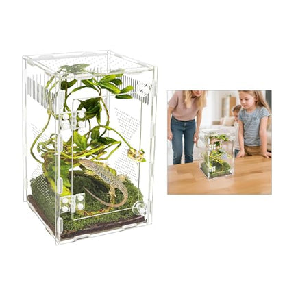 Clear Designs Reptiles Enclosure with Secure Locking Lid and Airflows Vents for Amphibians Easy Observation Terrariums Acrylic Reptiles Terrariums