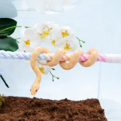 Snake Enrichment, Ball Python Tank Accessories, Gradient Climbing Decoration Rope with Suction Cups, Snake Climbing Accessories, Ball Python Enrichment - size: 80cm