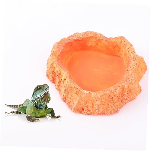 Toddmomy Reptile Water Bowl Lizard Accessories Reptile Food Feeder Bowl Skid-Resistant