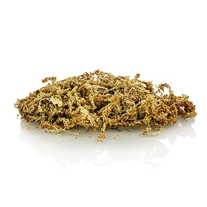Premium New Zealand Sphagnum Moss by Gardenera - Organic Hand Mixed Long Fibered Sphagnum Moss Orchid - 1 Quart