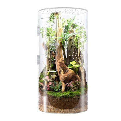 Fockety Tall Arboreal Tarantula Enclosure, Acrylic Reptile Terrarium with Front Opening Door for Jumping Spiders Lizards Snails, 6 x 6 x 12in, 360 Degree Visibility, Secure Latch Design