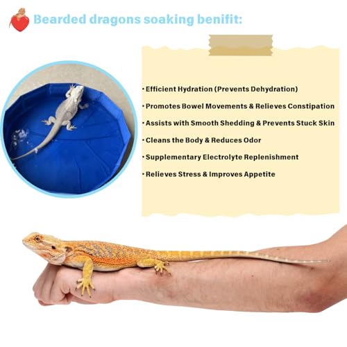 Foldable Bearded Dragon Bathtub with 2Pcs Reptile Mini Swimming Rings & Pump and 1Pcs Soft Brush, Bearded Dragon Accessories, Small Pet Bath Accessories (Blue) - color: Blue