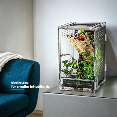 Vertical Acrylic Terrarium, 4.5" x 3.9" x 6.5" Clear Small Pet Enclosure with 304 Stainless Steel Mesh Top, Waterproof Base, Secure Door for Jumping Spider, Tarantula Sling and Small Invertebrates