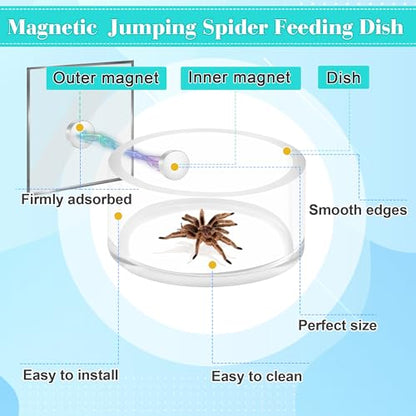 Jumping Spider Magnetic Water Feeding Dish for Small Pets | Magnetic Water Bowl with Dropper & Tweezer-Tiny Food Dishes Water Dish for Jumping Spider, Tarantula & Other Small Pets