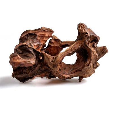 emours Porous Natural Driftwood for Aquarium, Aquascaping Driftwood with Holes, Hand-Selected Tunnels & Hideouts, Aquascaping Hardscape, Terrarium Reptile Décor, No Paint or Resin (6-8" (15-20 cm)) - size: 6-8" (15-20 cm)