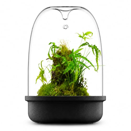 Bioloark Desktop Glass Plant Terrarium & Magnetic Plant Light Series, Moss Terrarium Containers with Ceramic Base, LED Terrarium Lights for Moss, Small Plant Displays (MQ-150 Black(6.5" x 9.3")) - color: MQ-150 Black(6.5" x 9.3")
