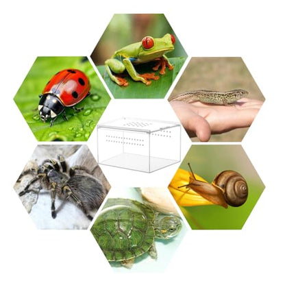 NANEEZOO Acrylic Reptile Breeding Box, 5x4x3 Inch Nano Flat/Long Enclosure Transparent Reptile Breeding Box Terrarium Cage Tank for Tarantula Scorpion Sling Isopods Invertebrates Insect Mantis