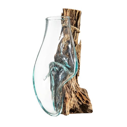 Cape Craftsmen Wall Mounted 12" Molten Glass Hanging Terrarium Kit on Natural Driftwood, Indoor Wall Planter Vase on Wood, Propagation Station for Hydroponics Plants, Succulent Pot - size: Wall Mounted