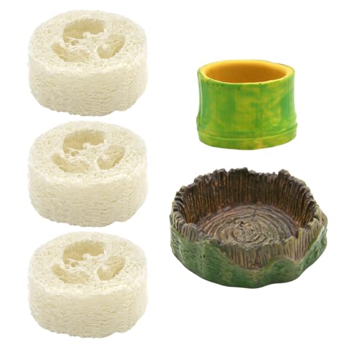 5pcs Dubia Roach Live Tree Stump Feeding Bowls & Green Bamboo Water Bowls Container with Loofah Net Set, Habitat for Dubia Roaches Live, Crickets & Springtails, Habitat Supplies - size: 5Pcs