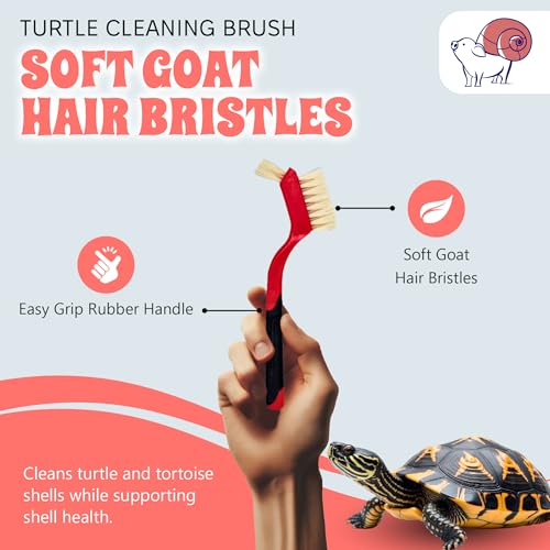 Turtle Cleaning Brush - Gently Remove Dirt from Turtles and Tortoises - Red by Snout and Shell - color: Red